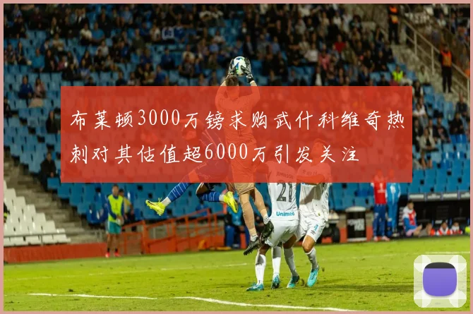 布莱顿3000万镑求购武什科维奇热刺对其估值超6000万引发关注